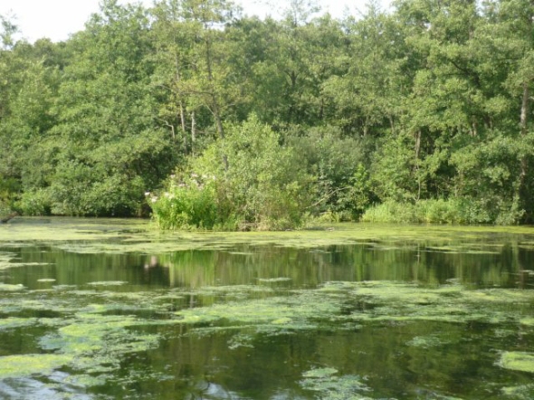 eintraum.jpg