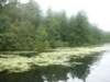 purenature_small.jpg